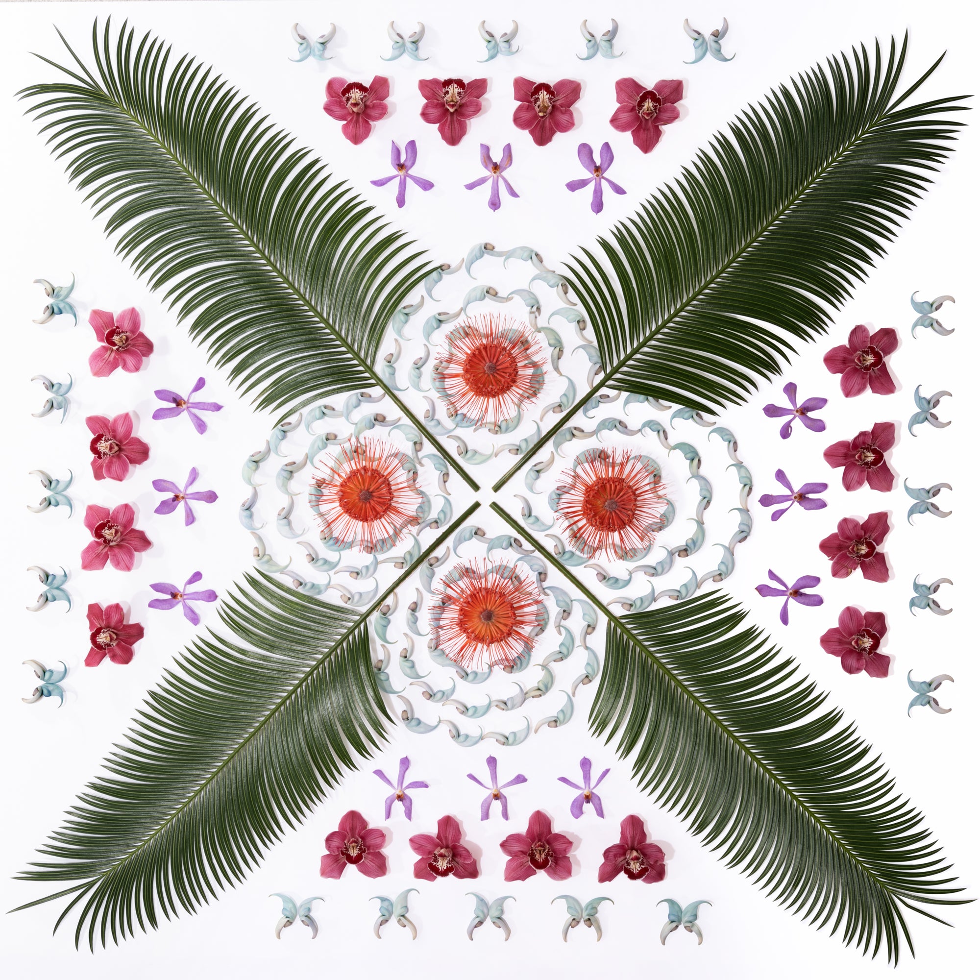 image of tropical plants in a symmetrical design